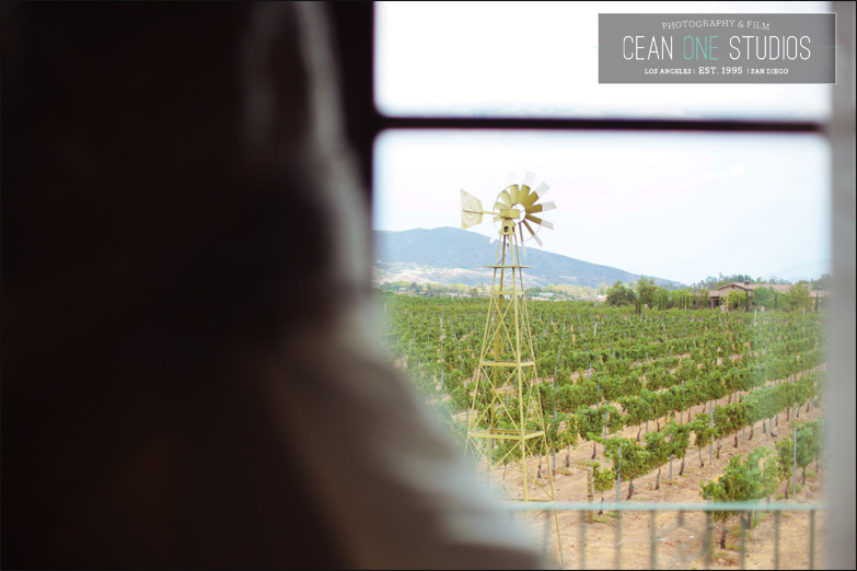 wedding vineyard | Cean One Photography| Southern California Wedding Photographer | Temecula Wine Country Wedding