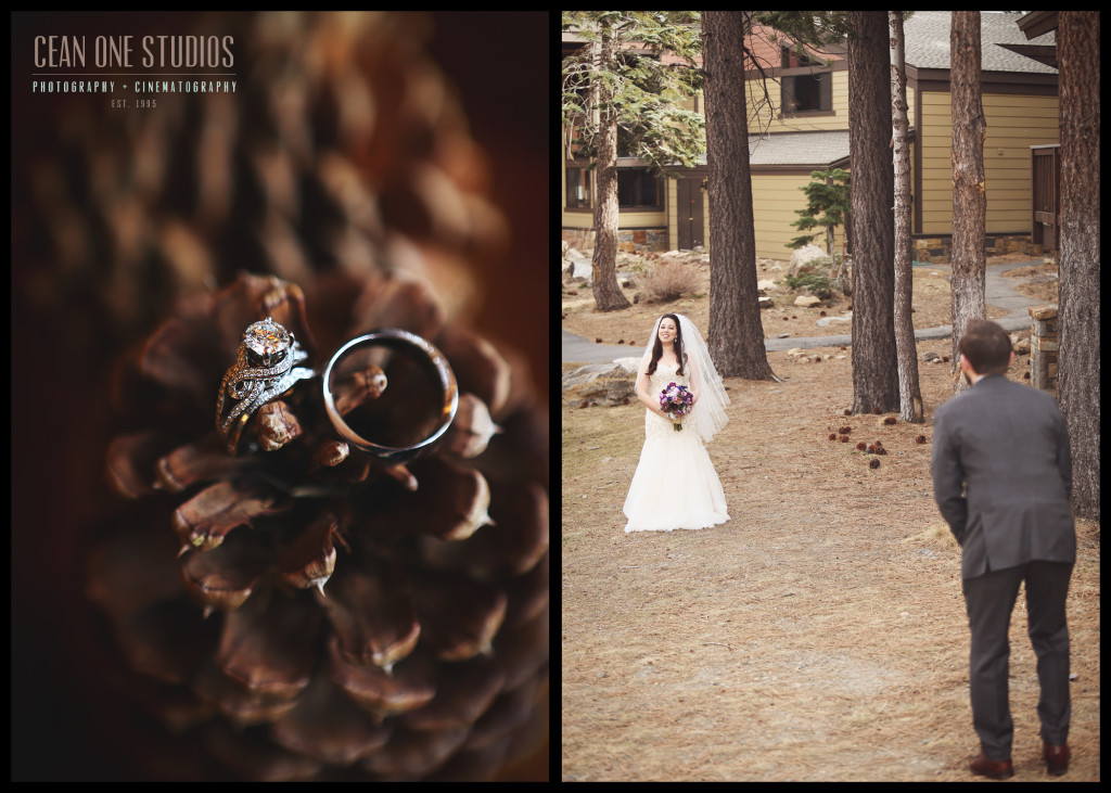 forrest wedding | destination weddings San Diego wedding photographer
