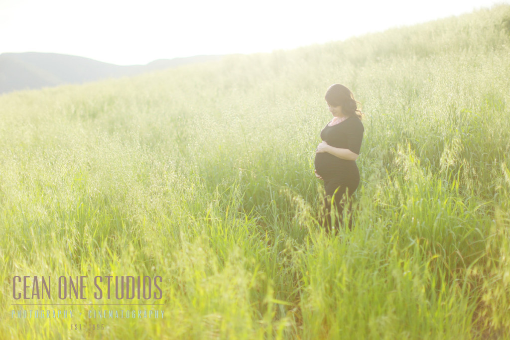 Pregnant woman in field | Mother